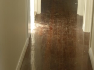 FLOOR SANDING